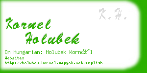 kornel holubek business card